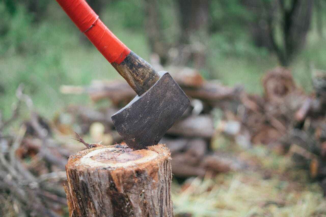 Tree Branch Trimming in Florence, OR